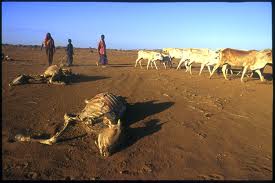 Urgent Drought Appeal For Ogaden