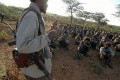 Dispatch: Ogaden Battle Front