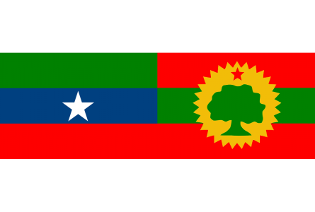 Press Release: Call for United Front to Bring Genuine Democratic Change in Ethiopia